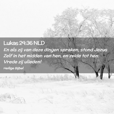 Picture 02 - Lukas 24:36 NLD - En als zij van deze dingen spraken, stond Jezus - Bible Verse Picture