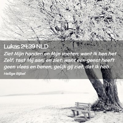 Picture 02 - Lukas 24:39 NLD - Ziet Mijn handen en Mijn voeten; want Ik ben het - Bible Verse Picture