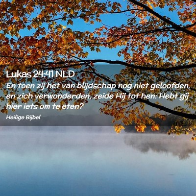 Picture 02 - Lukas 24:41 NLD - En toen zij het van blijdschap nog niet - Bible Verse Picture