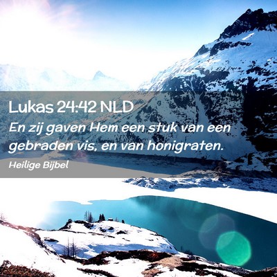 Picture 02 - Lukas 24:42 NLD - En zij gaven Hem een stuk van een gebraden vis, - Bible Verse Picture