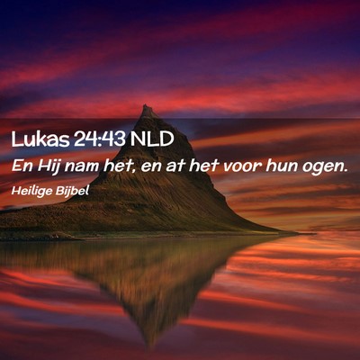 Picture 02 - Lukas 24:43 NLD - En Hij nam het, en at het voor hun - Bible Verse Picture