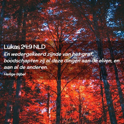 Picture 02 - Lukas 24:9 NLD - En wedergekeerd zijnde van het graf, boodschapten - Bible Verse Picture