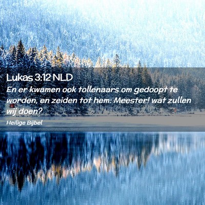 Picture 02 - Lukas 3:12 NLD - En er kwamen ook tollenaars om gedoopt te worden, - Bible Verse Picture