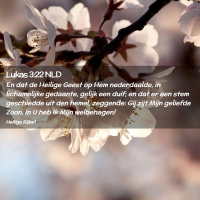 Picture 02 - Lukas 3:22 NLD - En dat de Heilige Geest op Hem nederdaalde, in - Bible Verse Picture