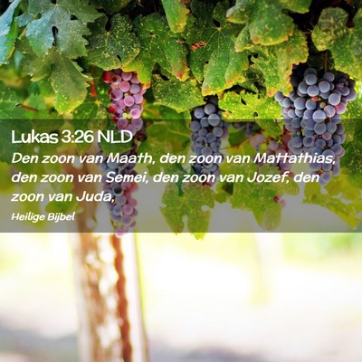 Picture 02 - Lukas 3:26 NLD - Den zoon van Maath, den zoon van Mattathias, den - Bible Verse Picture