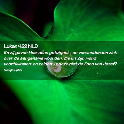 Picture 02 - Lukas 4:22 NLD - En zij gaven Hem allen getuigenis, en - Bible Verse Picture
