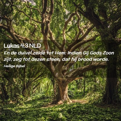 Picture 02 - Lukas 4:3 NLD - En de duivel zeide tot Hem: Indien Gij Gods Zoon - Bible Verse Picture