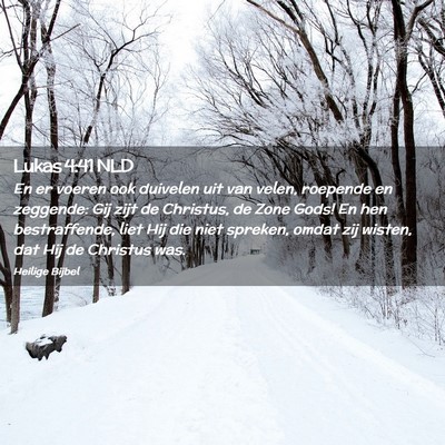 Picture 02 - Lukas 4:41 NLD - En er voeren ook duivelen uit van velen, roepende - Bible Verse Picture