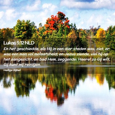 Picture 02 - Lukas 5:12 NLD - En het geschiedde, als Hij in een dier steden - Bible Verse Picture