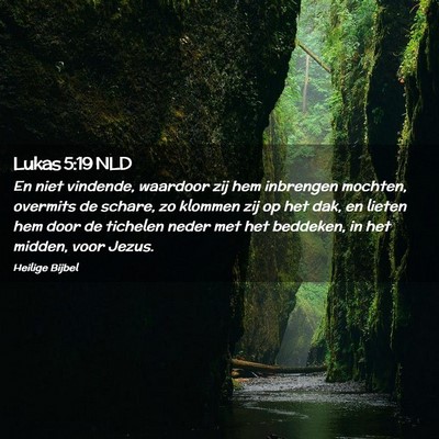 Picture 02 - Lukas 5:19 NLD - En niet vindende, waardoor zij hem inbrengen - Bible Verse Picture