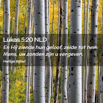 Picture 02 - Lukas 5:20 NLD - En Hij ziende hun geloof, zeide tot hem: Mens, uw - Bible Verse Picture