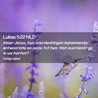 Picture 02 - Lukas 5:22 NLD - Maar Jezus, hun overdenkingen bekennende, - Bible Verse Picture
