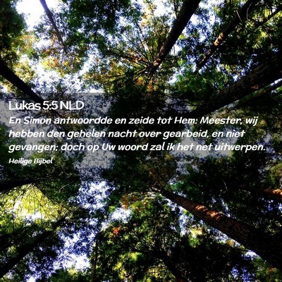 Picture 02 - Lukas 5:5 NLD - En Simon antwoordde en zeide tot Hem: Meester, - Bible Verse Picture