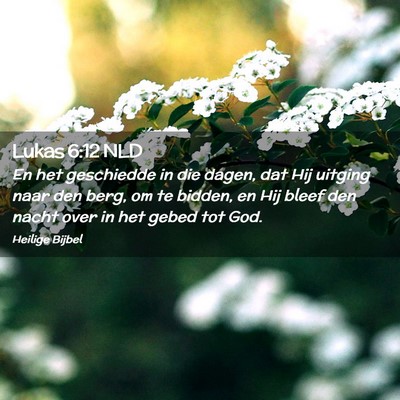 Picture 02 - Lukas 6:12 NLD - En het geschiedde in die dagen, dat Hij uitging - Bible Verse Picture