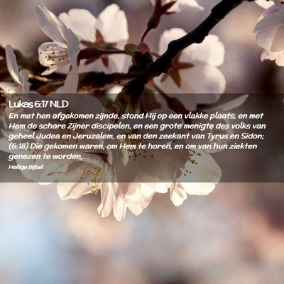 Picture 02 - Lukas 6:17 NLD - En met hen afgekomen zijnde, stond Hij op een - Bible Verse Picture