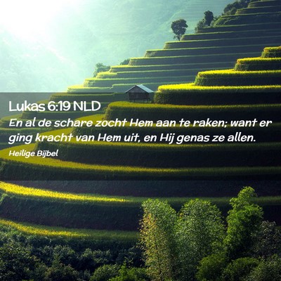 Picture 02 - Lukas 6:19 NLD - En al de schare zocht Hem aan te raken; want er - Bible Verse Picture