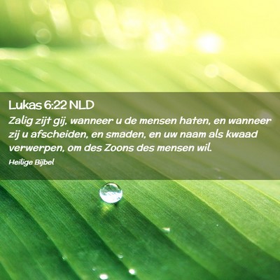 Picture 02 - Lukas 6:22 NLD - Zalig zijt gij, wanneer u de mensen haten, en - Bible Verse Picture