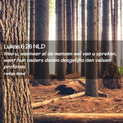 Picture 02 - Lukas 6:26 NLD - Wee u, wanneer al de mensen wel van u spreken, - Bible Verse Picture