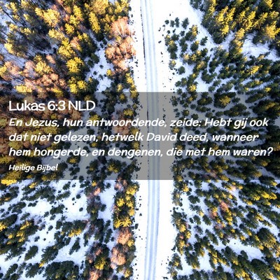 Picture 02 - Lukas 6:3 NLD - En Jezus, hun antwoordende, zeide: Hebt gij ook - Bible Verse Picture