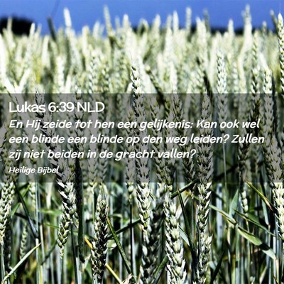 Picture 02 - Lukas 6:39 NLD - En Hij zeide tot hen een gelijkenis: Kan ook wel - Bible Verse Picture