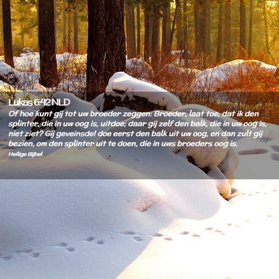 Picture 02 - Lukas 6:42 NLD - Of hoe kunt gij tot uw broeder zeggen: Broeder, - Bible Verse Picture