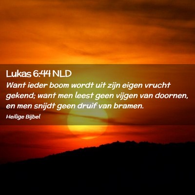 Picture 02 - Lukas 6:44 NLD - Want ieder boom wordt uit zijn eigen vrucht - Bible Verse Picture