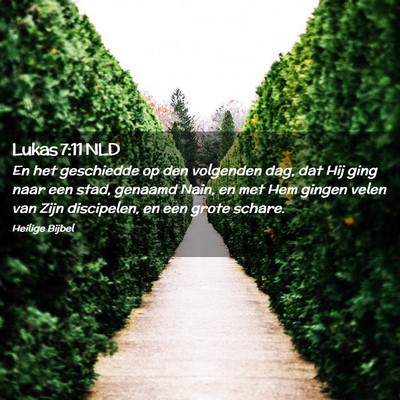 Picture 02 - Lukas 7:11 NLD - En het geschiedde op den volgenden dag, dat Hij - Bible Verse Picture