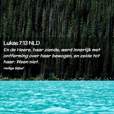 Picture 02 - Lukas 7:13 NLD - En de Heere, haar ziende, werd innerlijk met - Bible Verse Picture