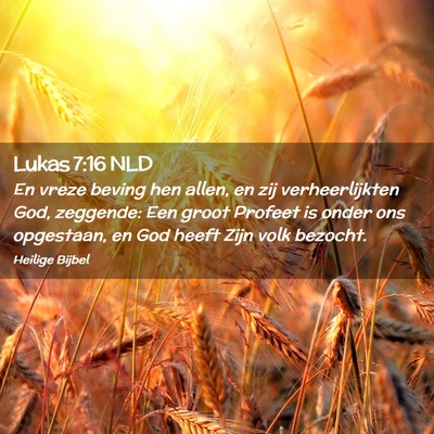 Picture 02 - Lukas 7:16 NLD - En vreze beving hen allen, en zij verheerlijkten - Bible Verse Picture