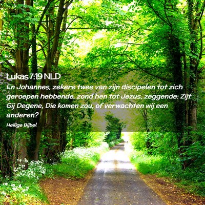 Picture 02 - Lukas 7:19 NLD - En Johannes, zekere twee van zijn discipelen tot - Bible Verse Picture