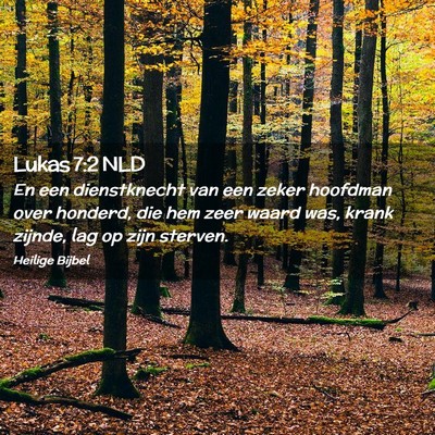 Picture 02 - Lukas 7:2 NLD - En een dienstknecht van een zeker hoofdman over - Bible Verse Picture