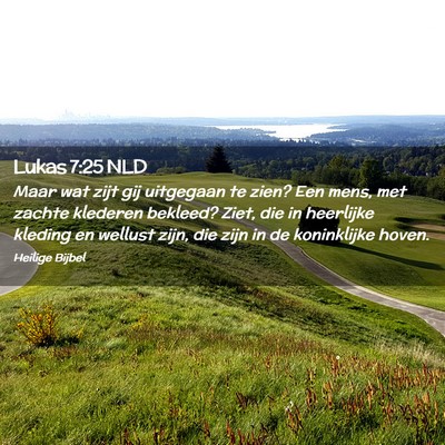 Picture 02 - Lukas 7:25 NLD - Maar wat zijt gij uitgegaan te zien? Een mens, - Bible Verse Picture
