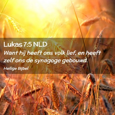 Picture 02 - Lukas 7:5 NLD - Want hij heeft ons volk lief, en heeft zelf ons - Bible Verse Picture