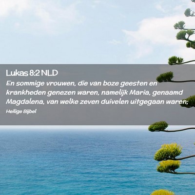 Picture 02 - Lukas 8:2 NLD - En sommige vrouwen, die van boze geesten en - Bible Verse Picture