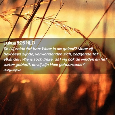 Picture 02 - Lukas 8:25 NLD - En Hij zeide tot hen: Waar is uw geloof? Maar - Bible Verse Picture