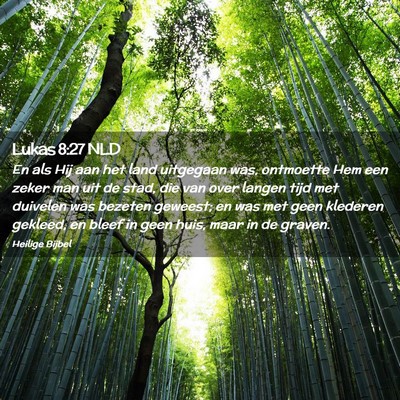 Picture 02 - Lukas 8:27 NLD - En als Hij aan het land uitgegaan was, ontmoette - Bible Verse Picture