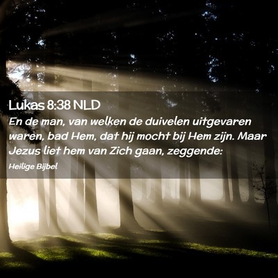 Picture 02 - Lukas 8:38 NLD - En de man, van welken de duivelen uitgevaren - Bible Verse Picture