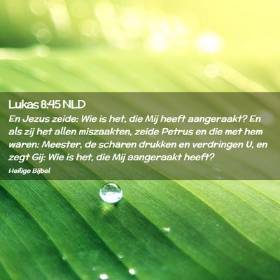 Picture 02 - Lukas 8:45 NLD - En Jezus zeide: Wie is het, die Mij heeft - Bible Verse Picture
