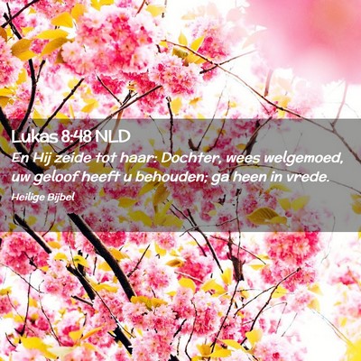 Picture 02 - Lukas 8:48 NLD - En Hij zeide tot haar: Dochter, wees welgemoed, - Bible Verse Picture