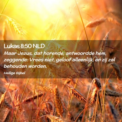 Picture 02 - Lukas 8:50 NLD - Maar Jezus, dat horende, antwoordde hem, - Bible Verse Picture