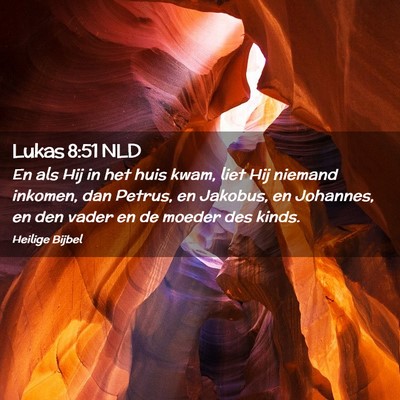 Picture 02 - Lukas 8:51 NLD - En als Hij in het huis kwam, liet Hij niemand - Bible Verse Picture