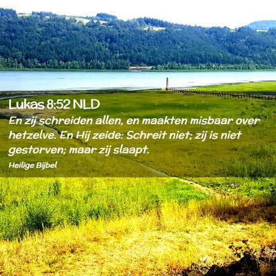 Picture 02 - Lukas 8:52 NLD - En zij schreiden allen, en maakten misbaar over - Bible Verse Picture