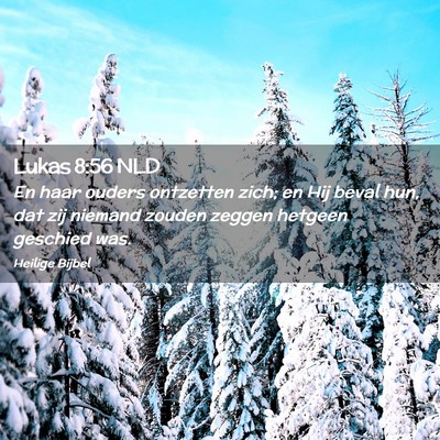 Picture 02 - Lukas 8:56 NLD - En haar ouders ontzetten zich; en Hij beval hun, - Bible Verse Picture