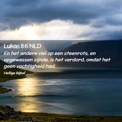 Picture 02 - Lukas 8:6 NLD - En het andere viel op een steenrots, en - Bible Verse Picture