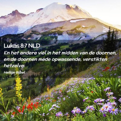 Picture 02 - Lukas 8:7 NLD - En het andere viel in het midden van de doornen, - Bible Verse Picture