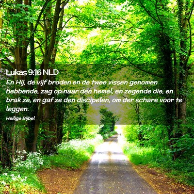 Picture 02 - Lukas 9:16 NLD - En Hij, de vijf broden en de twee vissen genomen - Bible Verse Picture