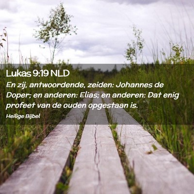 Picture 02 - Lukas 9:19 NLD - En zij, antwoordende, zeiden: Johannes de Doper; - Bible Verse Picture