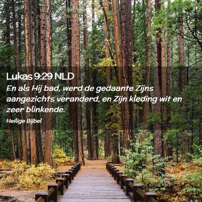 Picture 02 - Lukas 9:29 NLD - En als Hij bad, werd de gedaante Zijns - Bible Verse Picture