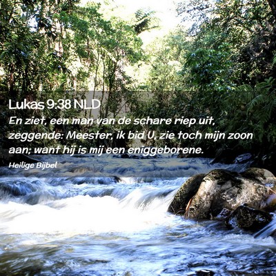 Picture 02 - Lukas 9:38 NLD - En ziet, een man van de schare riep uit, - Bible Verse Picture