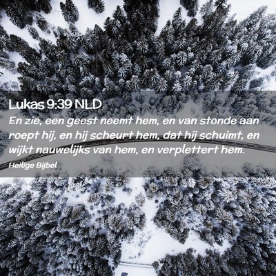 Picture 02 - Lukas 9:39 NLD - En zie, een geest neemt hem, en van stonde aan - Bible Verse Picture